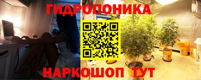 ГАЛЛЮЦИНОГЕННЫЕ ГРИБЫ Камышлов