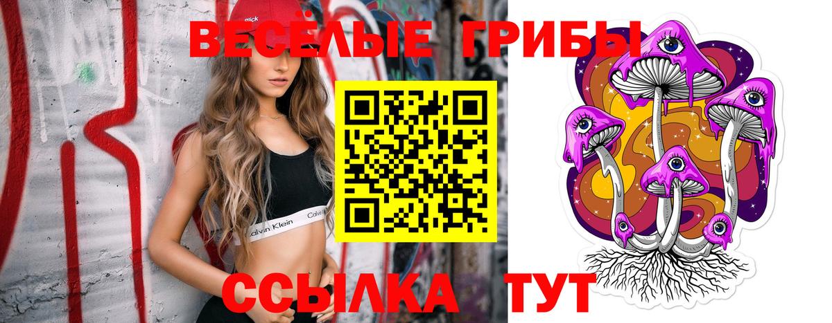 Псилоцибиновые грибы Psilocybine cubensis  Галлюциногенные грибы Psilocybe  купить наркотик  Кропоткин  Вход с VPN 